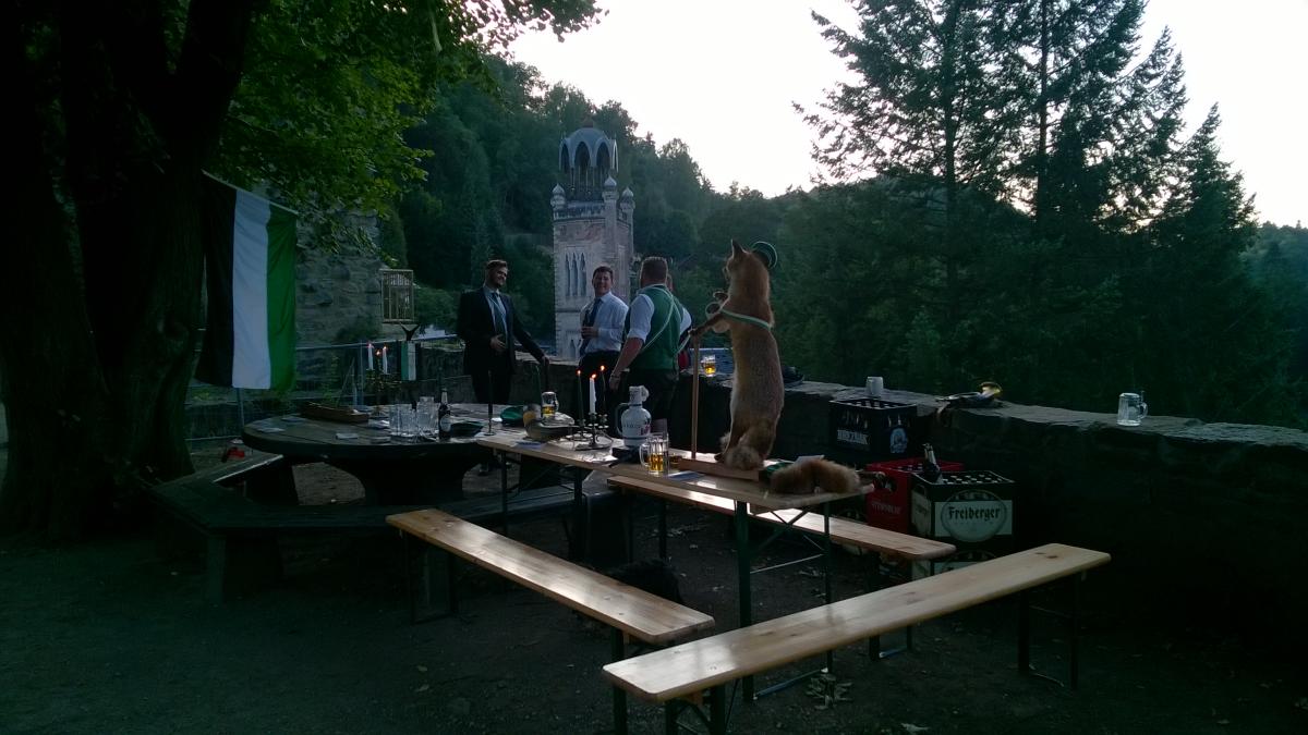 Bild Bild